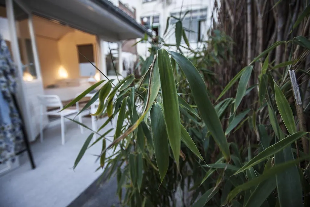 Vakantiehuis Tiny House Madame Jeanette Villa Zandvoort
