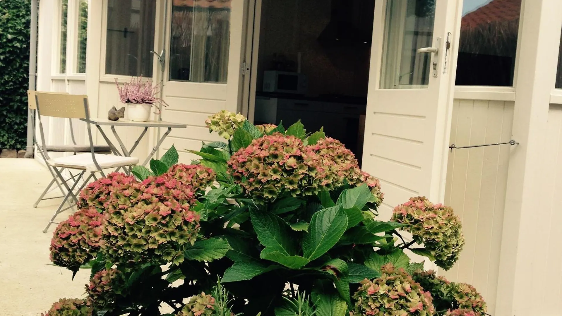Holiday home Tiny House Madame Jeanette Villa Zandvoort